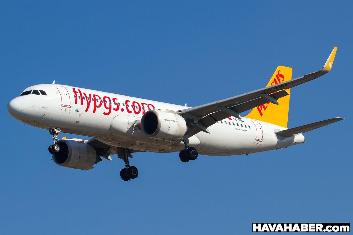 pegasus havayolları bologna