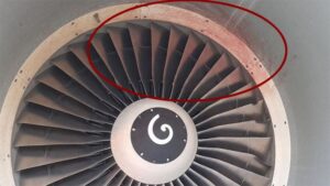 İspanya merkezli Volotea Airlines'a ait yolcu uçağının motoruna kalkışa hazırlandığı sırada kuş girdi.