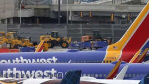 ABD'li havayolu şirketine ait uçak kuşlara çarptı, Küba'ya acil iniş yaptı