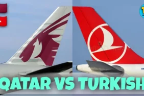 Which is better Qatar or Turkish Airlines?