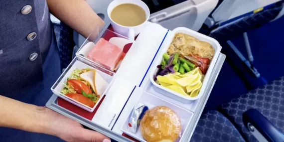 SAS Uçağında İkram Servisinde Canlı Fare Şoku: Acil İniş Yapıldı