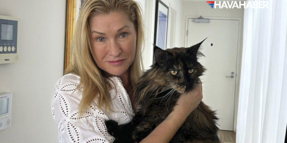 Uçakta unutulan kedi seyahat tutkunu oldu: 3 uçuşun ardından sahibine kavuştu