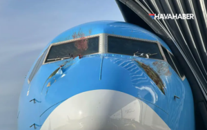 uçak kuş çarpması