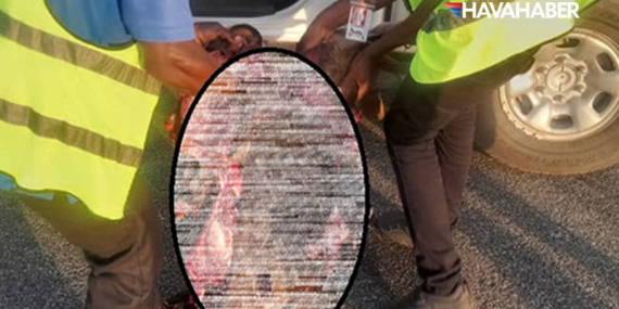 Air Peace uçağı pistte antilopa çarptı: Nijerya’da faciadan dönüldü