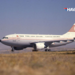 thy-a310