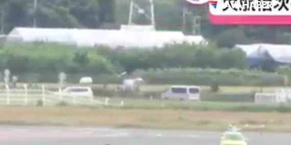 Japonya’da Ayı Paniği: Pistte Görüldü, Havalimanı Kapatıldı