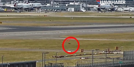 Londra Heathrow’da Pistte Tilki Alarmı: Uçuşlar Geçici Olarak Durduruldu!