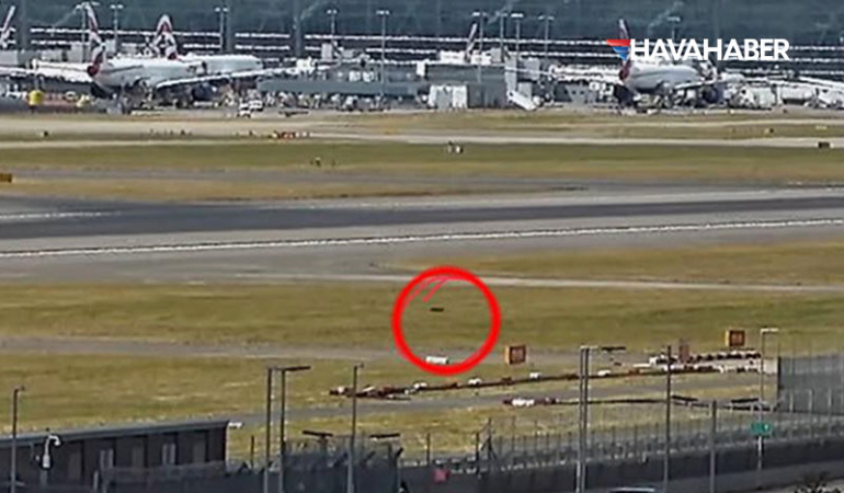 Londra-Heathrow-Havalimanı'nda-sıra-dışı-bir-misafir-nedeniyle-uçuş-trafiği-kısa-süreli-aksadı.--