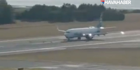 Alaska Airlines uçağı iniş sırasında üç geyiğe çarptı: Seferler iptal edildi