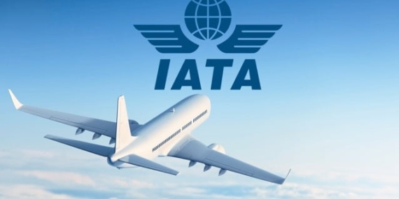 IATA Nedir? (Gökyüzünün “Görünmez” Patronu)