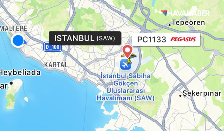 Pegasus uçağı leylek sürüsüne girdi, tek motorla iniş yaptı