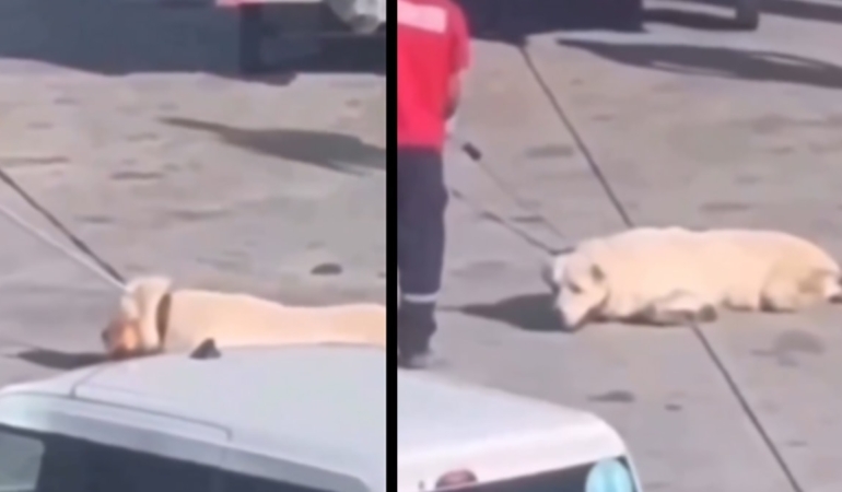 İstanbul Havalimanı’ndaki görüntülerle ilgili skandal iddia