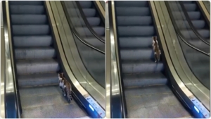 Yürüyen merdivene ters binen kedinin yardımına vatandaş koştu