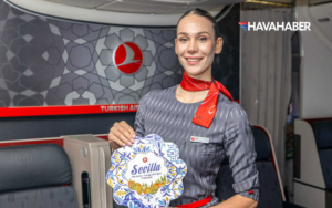 thy-kabin-memuru-sevilla