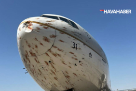 Cidde'de-Korku-Dolu-Anlar!-Dev-Boeing-777-Kuş-Sürüsüne-Daldı,-Uçağın-Burnu-Parçalandı!