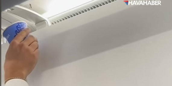 AJet uçağında davetsiz misafir! Kabine arı girdi