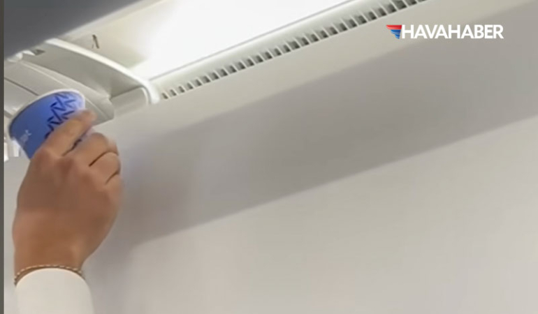 AJet uçağında davetsiz misafir! Kabine arı girdi