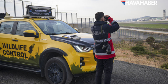 Sabiha Gökçen Havalimanı’nda uçuş güvenliği için yaban hayatı 7 gün 24 saat izleniyor