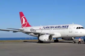 thy a319