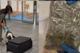 çukurova havalimanı uyşturucu