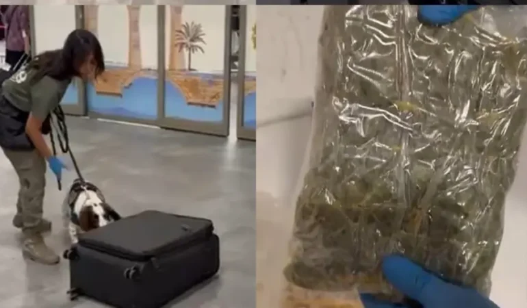 çukurova havalimanı uyşturucu