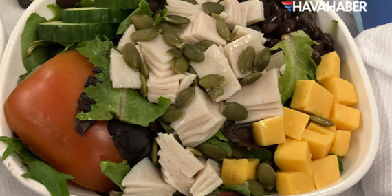 Google’ın Tepe İsminden Havayolu Devine Şok Tepki: “Bu Bir Şaka mı?”