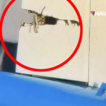 Amsterdam-Schiphol-Havalimanı'nda-iki-KLM-uçağı-yerde-çarpıştı!-Boeing-737'nin-kuyruğunda-büyük-hasar-oluştu.-İşte-o-anlar.