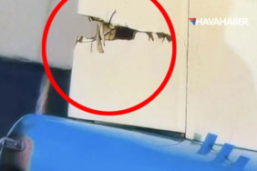 Amsterdam-Schiphol-Havalimanı'nda-iki-KLM-uçağı-yerde-çarpıştı!-Boeing-737'nin-kuyruğunda-büyük-hasar-oluştu.-İşte-o-anlar.