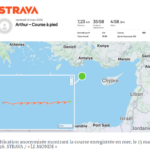 Le Monde bir askerin uygulamasını kullanarak Fransız uçak gemisinin yerini saptadı