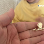 Pegasus atatürk rozeti