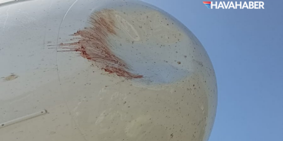 Kuş Çarpması Panik Yarattı! Corendon Uçağı Mumbai’de Hasar Aldı