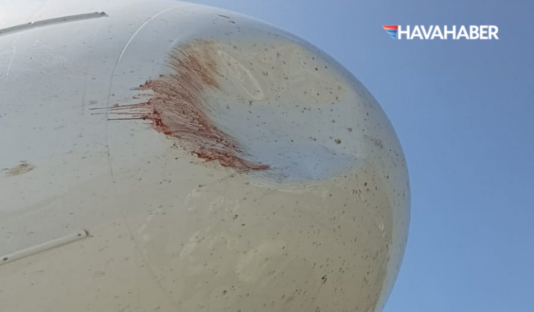 Uçak kuş çarpması