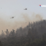 AFAD 9 ildeki orman yangınlarında 23 uçak ve 54 helikopter görev yapıyor