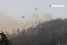 AFAD 9 ildeki orman yangınlarında 23 uçak ve 54 helikopter görev yapıyor