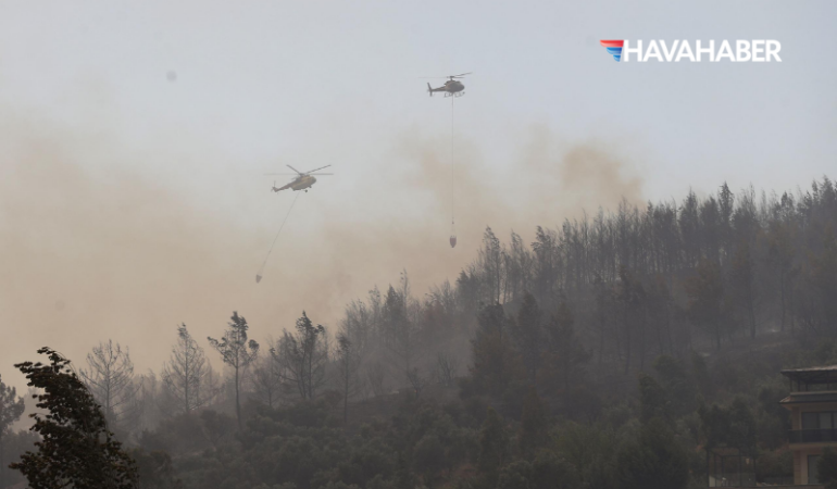 AFAD 9 ildeki orman yangınlarında 23 uçak ve 54 helikopter görev yapıyor